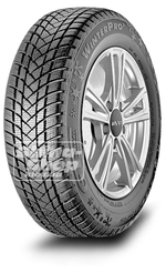 Champiro Winter Pro 2